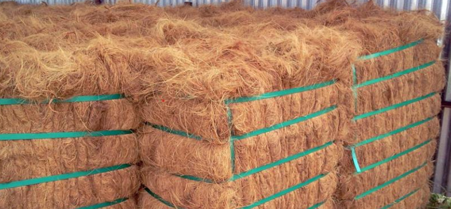 bg_sec_img_home1_page1_sctn6_m9